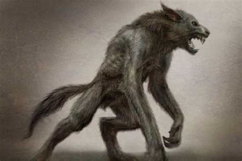 10 Real Life Werewolves - Listverse