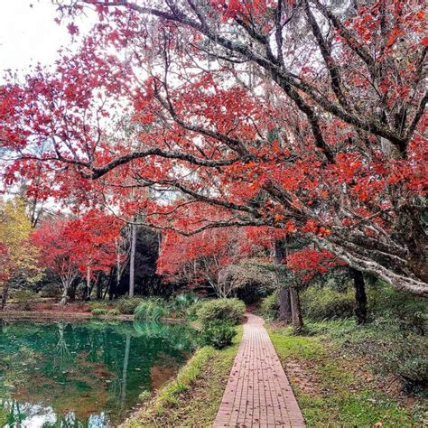 Alfred B Maclay Gardens State Park - Parks Guidance