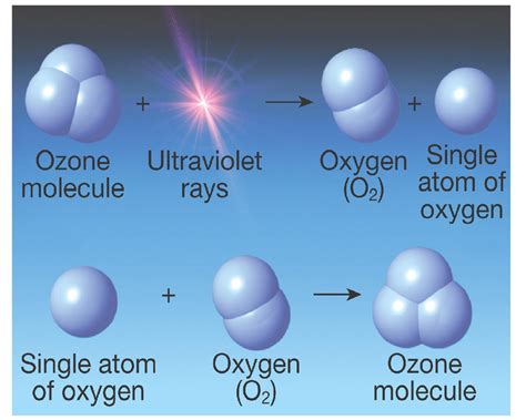 Why is the ozone layer important? | Socratic