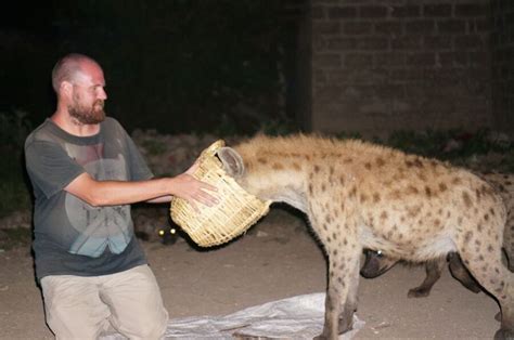 How to Feed Wild Hyenas in Harar - Ethiopia Travel - Backpackingman