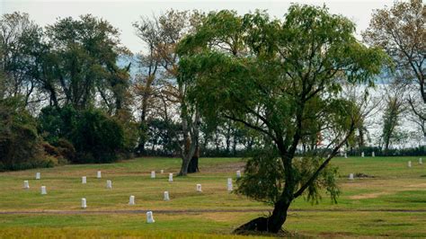 New York City's potter's field, where hundreds of AIDS patients are ...