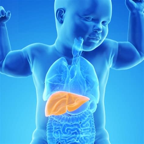 Pediatric Liver Transplant in India - Dr. Punit Singla