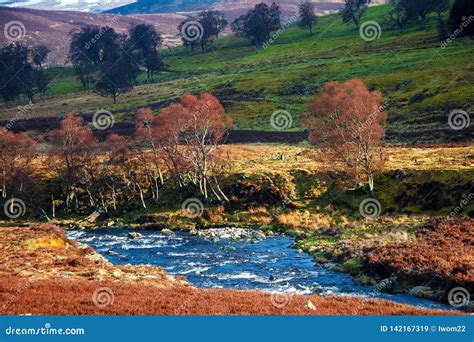 Hiking Trail in Cairngorms National Park. Aberdeenshire, Scotland, UK ...