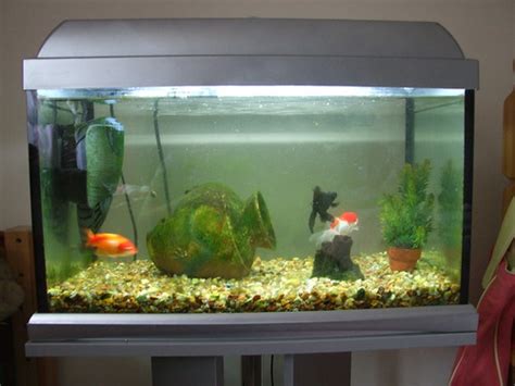 Goldfish Tank Filter - www.proteckmachinery.com