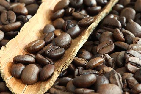 Rwanda - Wholesale Coffee Suppliers | Coffee Roasters | Pollards UK ...