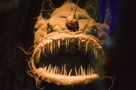 7 Most Terrifying and Bizarre Sea Monsters that Actually Exist