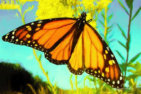 Digital Pastel Drawing of a Monarch Butterfly : Charles W. Bailey, Jr. : Free Download, Borrow ...