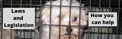 Puppy Mill Laws and Legislation - Stop Online Puppy Mills