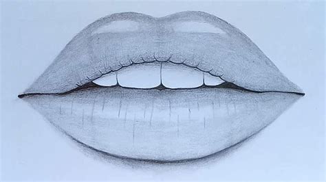 How to draw Lips with pencil sketch step by step - YouTube | Lips drawing, Drawings, Sketches