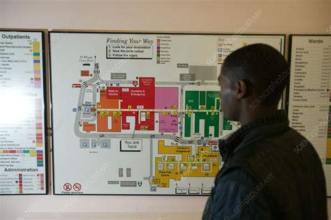 Young man reading a hospital map - Stock Image - C053/1348 - Science Photo Library