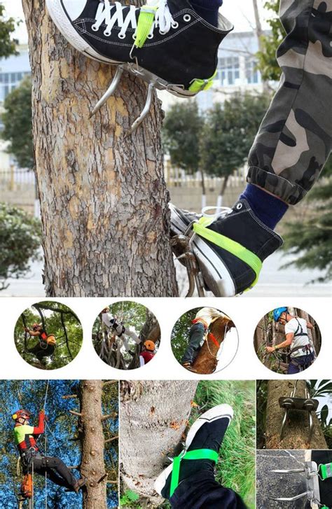 Tree Climbing Spikes | Tree Climbing Gear – Wanda Supply