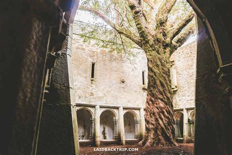 How to Visit Muckross Abbey — LAIDBACK TRIP