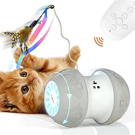 Top 10 Interactive Cat Toys of 2021 - Best Reviews Guide