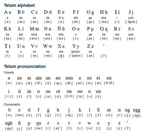 brunei official language