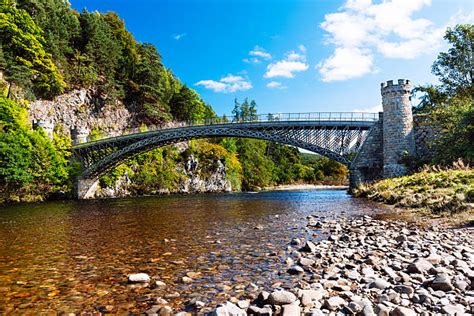 20+ Craigellachie National Nature Reserve Stock Photos, Pictures & Royalty-Free Images - iStock