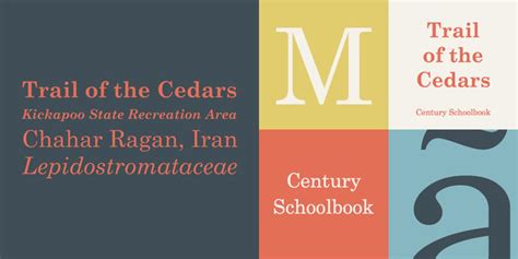 Century Schoolbook Font | Webfont & Desktop | MyFonts