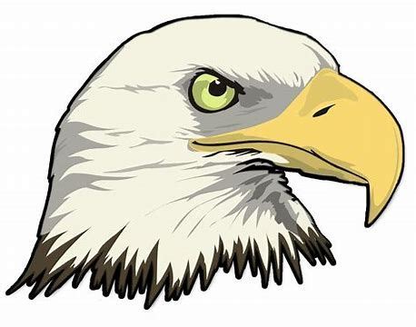 Pin on Eagle heads