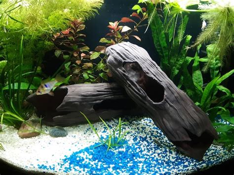 Dark Spanish Clay Aquarium Decoration for Fish Breeding - Etsy