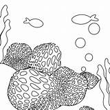 Coral Reefs Coloring Pages  Learny Kids sketch template