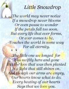 POEM (Little Snowdrop) | Angel baby poem, Baby poems, Funeral poems