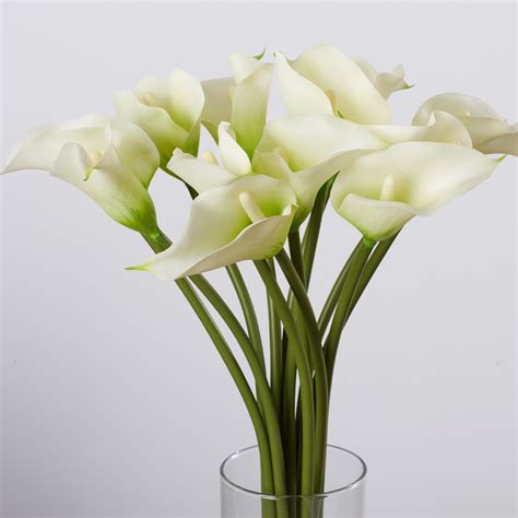 House of Hampton Calla Lily Flower Arrangement in Flower Vase & Reviews | Wayfair