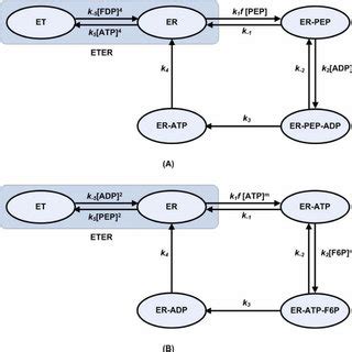 Allosteric enzymes consisting of an allosteric segment (dark shaded... | Download Scientific Diagram