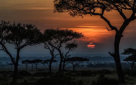 Sunrise In Masai Mara Kenya Africa MacBook Air Wallpaper Download ...