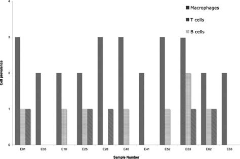 Clinical features as predictors of histologically confirmed inflammation in patients with lumbar ...