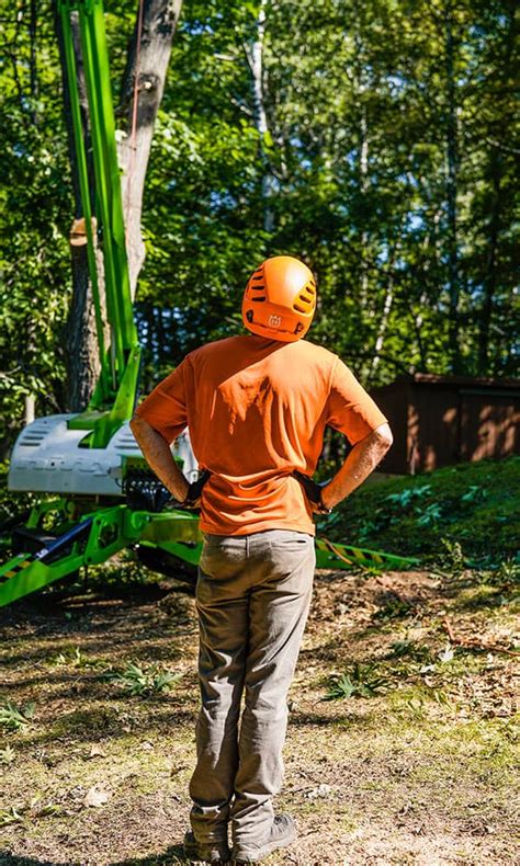 What is an Arborist? - Sawtooth Arbor Supply & Tree Care