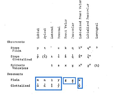 sonorant] – INLP Linguistic Glossary