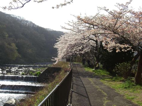 Gora Hanaougi Madoka no Mori, Hakone - Japanican.com