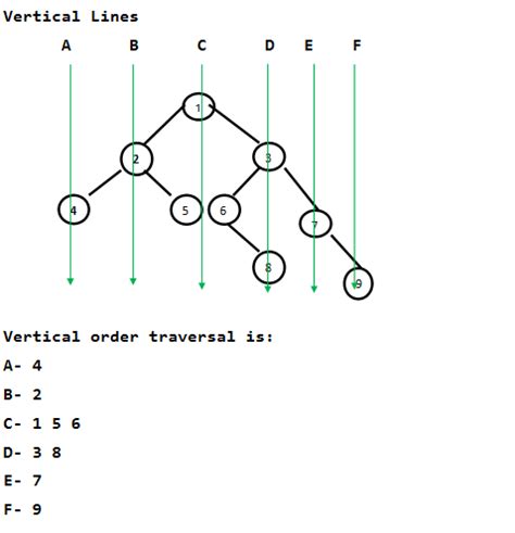 C Program For Binary Tree Traversal - lasoparocket