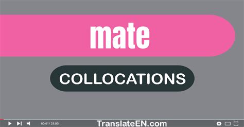 Collocations With "MATE" in English