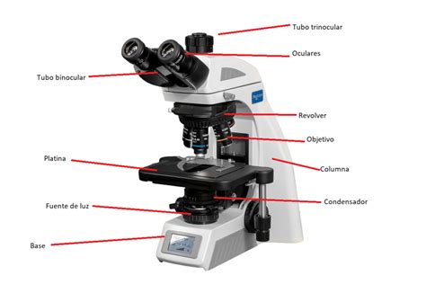 1.Partes del microscopio óptico y sus funciones