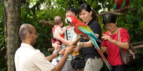 Singapore Zoo Tickets & Tours 2024 | Book TicketsToDo Online