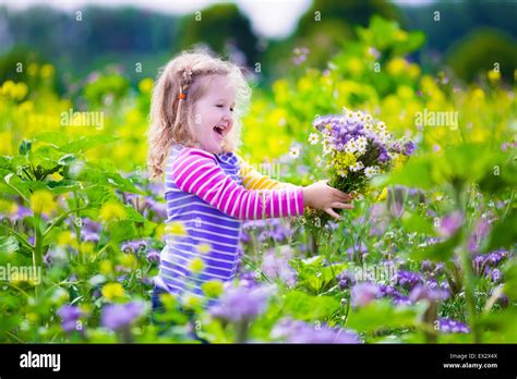 Child picking wild flowers in field. Kids play in a meadow and pick flower bouquet for mother on ...