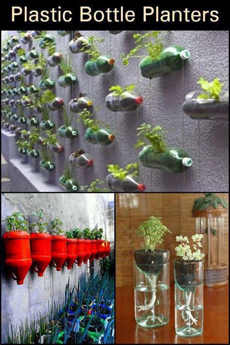 Awesome DIY Plastic Bottle Planters | 3 Easy Steps - Craft projects for ...