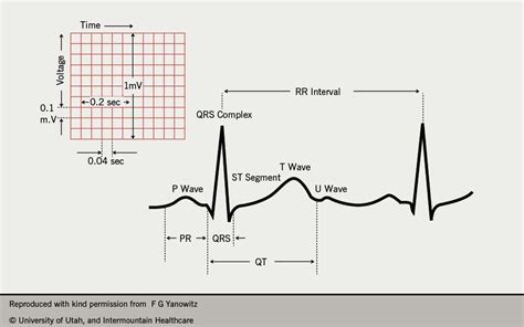 The art of bluffing - The British Journal of Cardiology