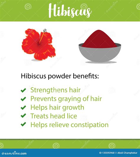 A Vector Poster or Informative Leaflet of an Indian Herb, it`s Powder and Benefits - Hibiscus ...