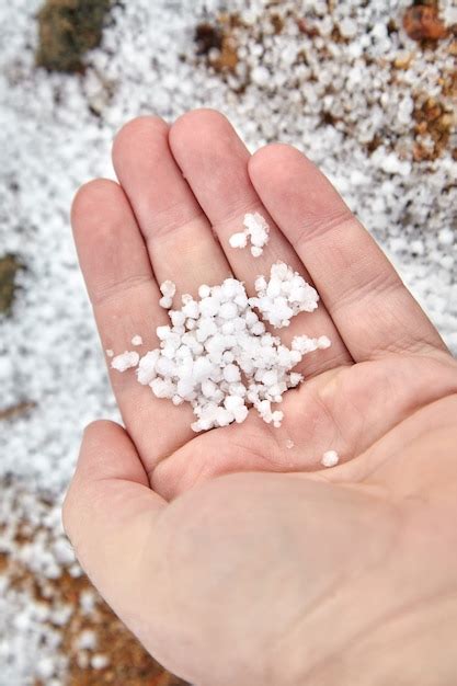 Premium Photo | Graupel, snow pellets or soft hail in palm on blurred background. form of ...