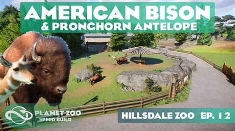 American Bison Habitat River Rock Zoo Planet Zoo Speed, 42% OFF