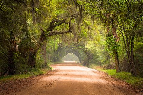 Ace Basin Dirt Road Botany Bay Edisto Island Landscape Photography ...