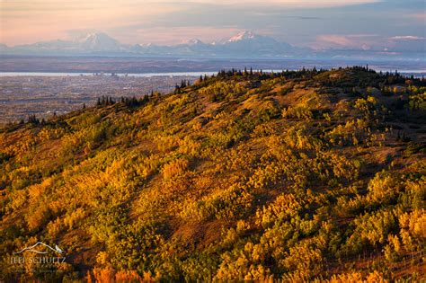 Alaska Nature & Landscapes Photography - Jeff Schultz