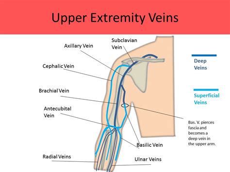 Ultrasound Registry Review - Extremity Venous