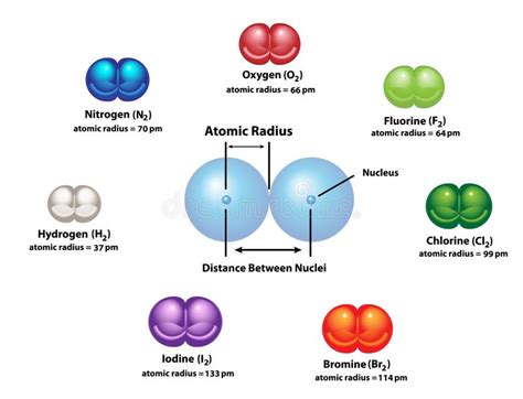 Atomic Radius of Diatomic Molecules Stock Vector - Illustration of hydrogen, distance: 192485216