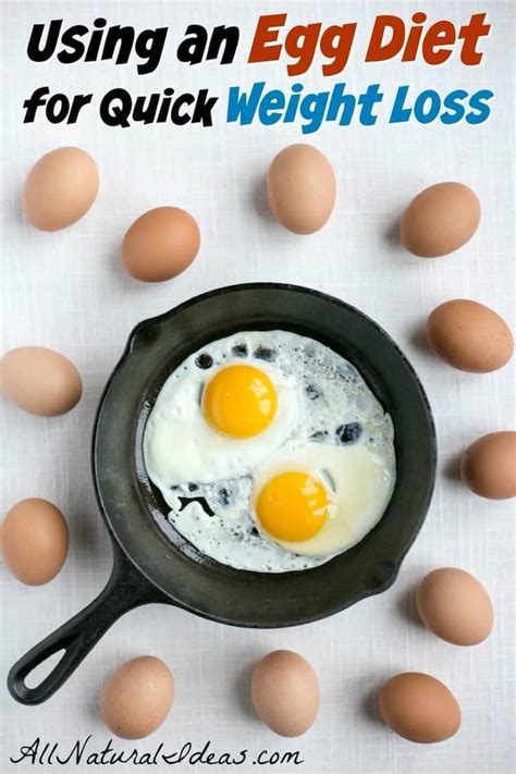 Egg Fast Diet: Can It Help You Lose Weight Quickly? | All Natural Ideas