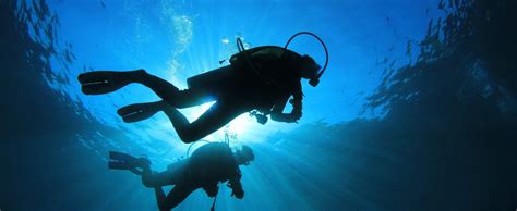 3 Reasons You to go Diving on the Florida Panhandle | Adagio 30A