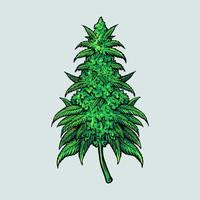 Cannabis Vector Art, Icons, and Graphics for Free Download