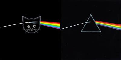 My Kind Of Introduction: An Artist uses Kittens to ReCreate Classic Album Covers