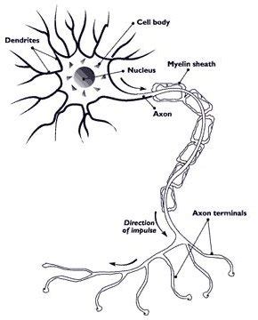 Nerve Damage from Surgery